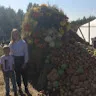 Логотип пользователя Лиза Лаптева