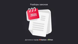 Упрощенная бухгалтерская финансовая отчетность за 2025 год