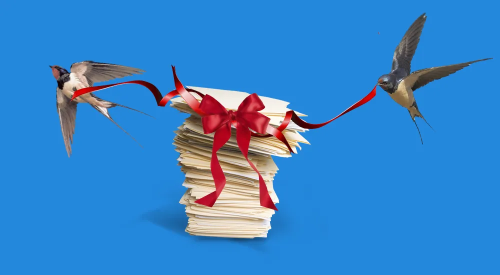 Новое место работы. Знакомство с наследством от прежнего бухгалтера