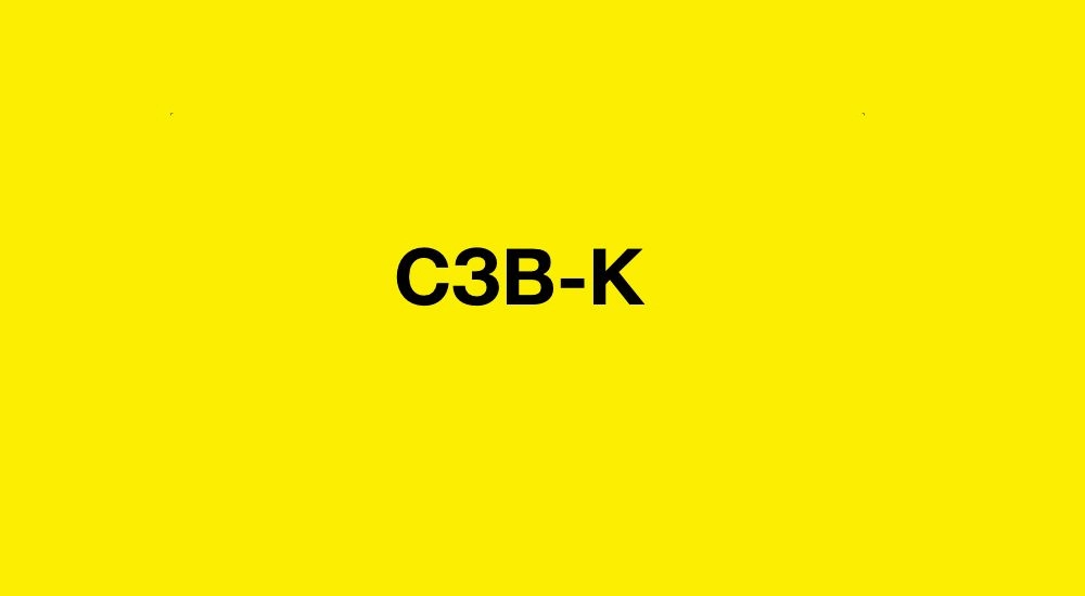 Отчет СЗВ-К: что это и кто должен его сдавать