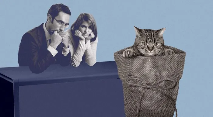 Срочный трудовой договор: что нужно знать, чтобы не попасть впросак