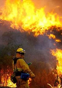 Путин внёс поправки в статью КоАП, касающуюся пожарной безопасности