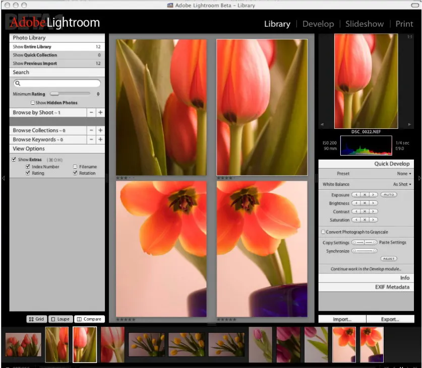 Выпущено обновление Photoshop Lightroom