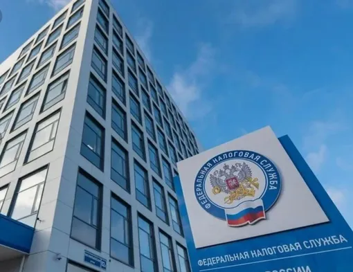 Сервис оценки ФНС: новые возможности и открытые вопросы