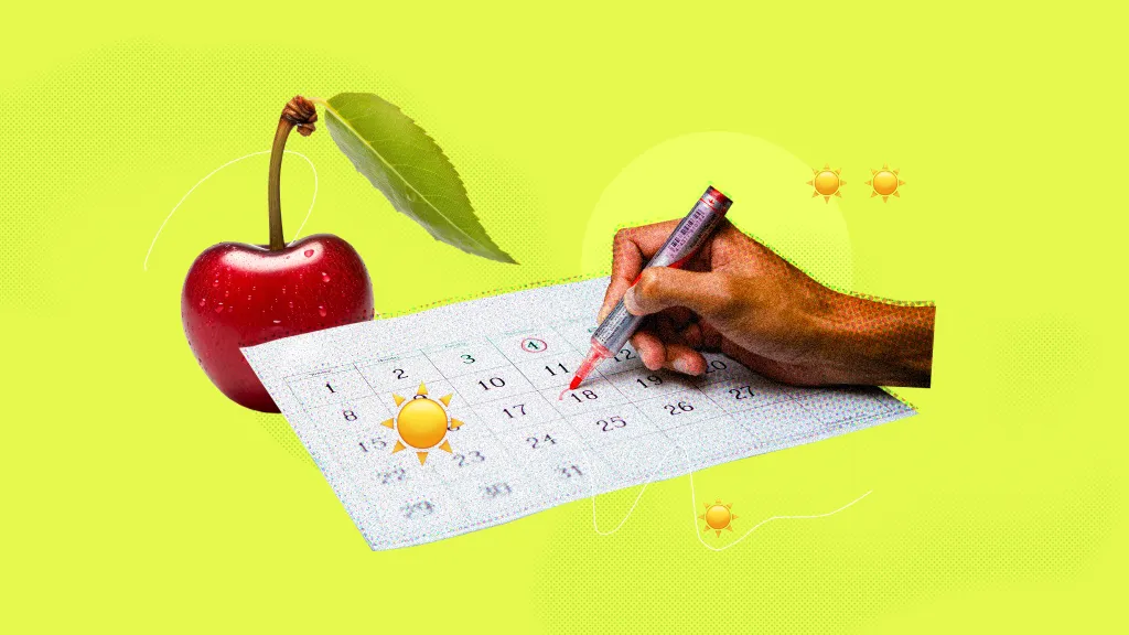 Отчеты и платежи июля 2024 года: памятка для руководителя и бухгалтера