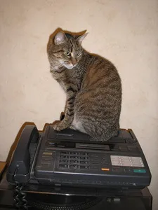 Запись в журнале исходящих факсов не доказывает получение сообщения