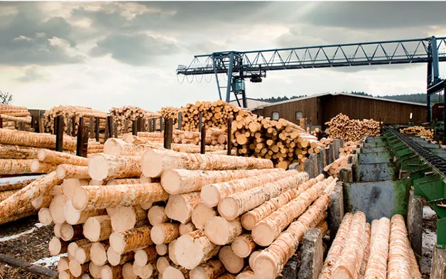 Ведение бизнеса по пиломатериалам: налогообложение, кадровая политика, бухгалтерский учет и особенности продвижения