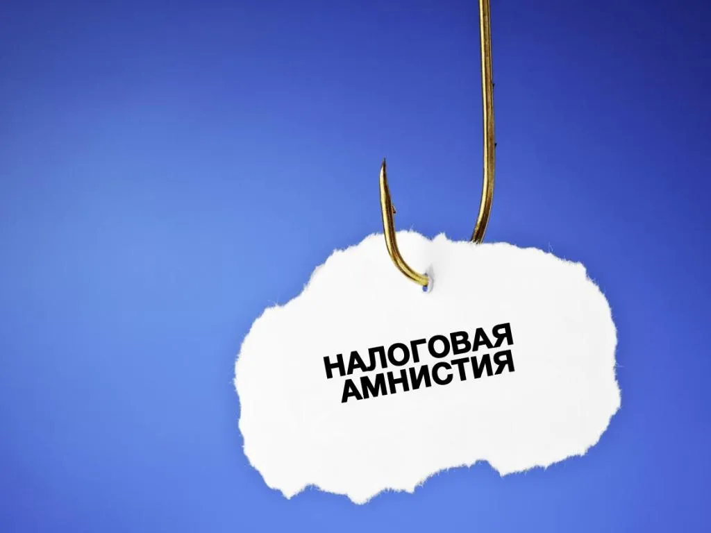 Какие налоговые долги простят гражданам и ИП