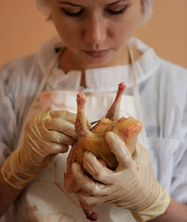 Правительство РФ утвердило тарифные квоты на мясо