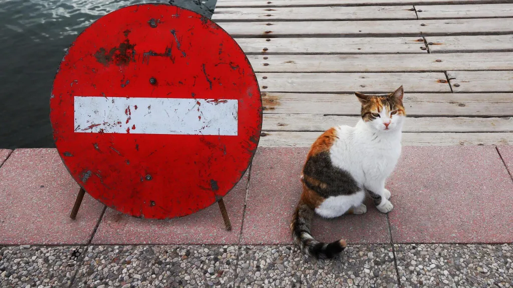 Риск при найме иностранца: запрет на въезд в РФ, о котором он даже не подозревает