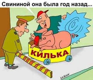 В Россию везли свинину под видом кильки