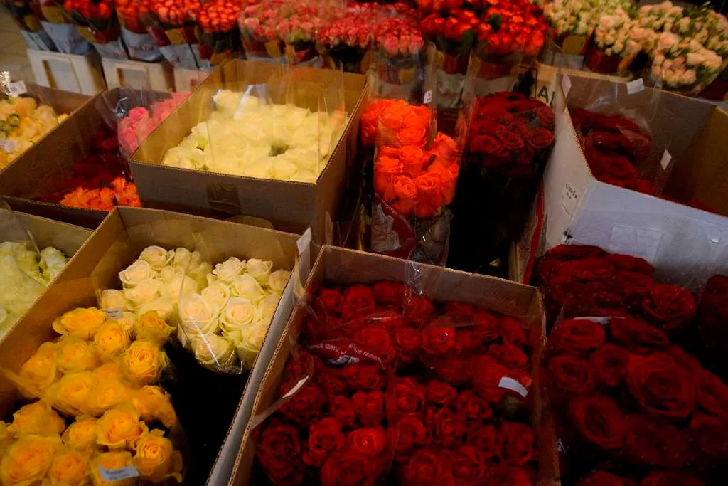 Цены на цветы перед первым сентября могут вырасти на 15-20%