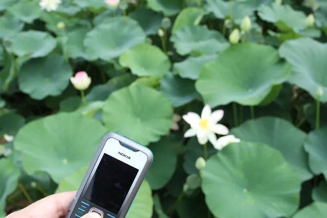 Nokia выбрала себе новый фирменный рингтон
