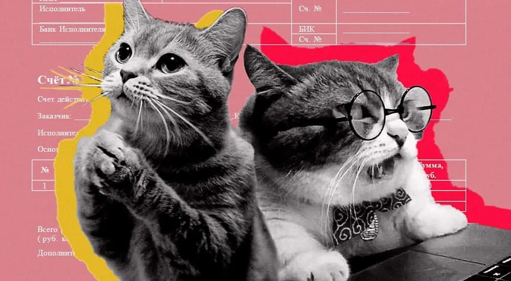 Что лучше использовать бухгалтеру: аудит или бесплатную консультацию и в чем разница