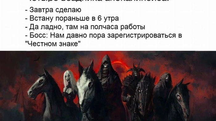 Как попасть в «Честный знак» с первого раза: инструкция для чайников