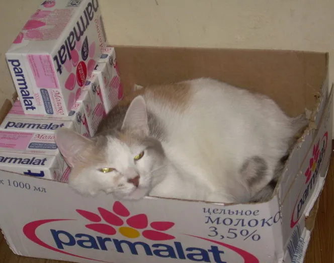 Клерк.Ру охраняет ваш труд