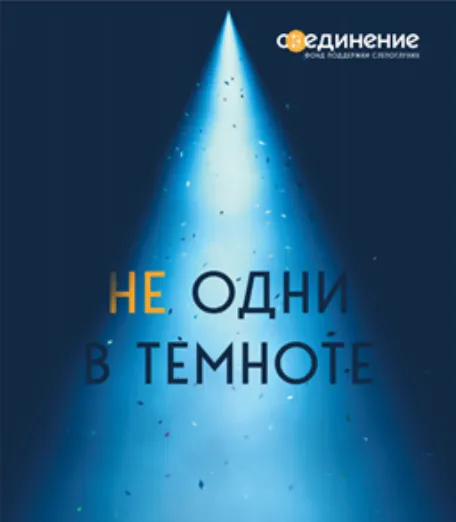 Публичный годовой отчет нко образец