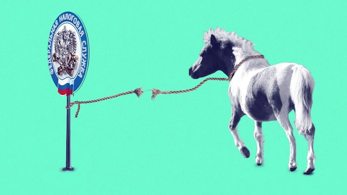 Как наладить работу с требованиями ИФНС. Кейс «Фингуру»