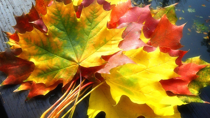🍁Что такое осень? Это... время рассылки налоговых уведомлений