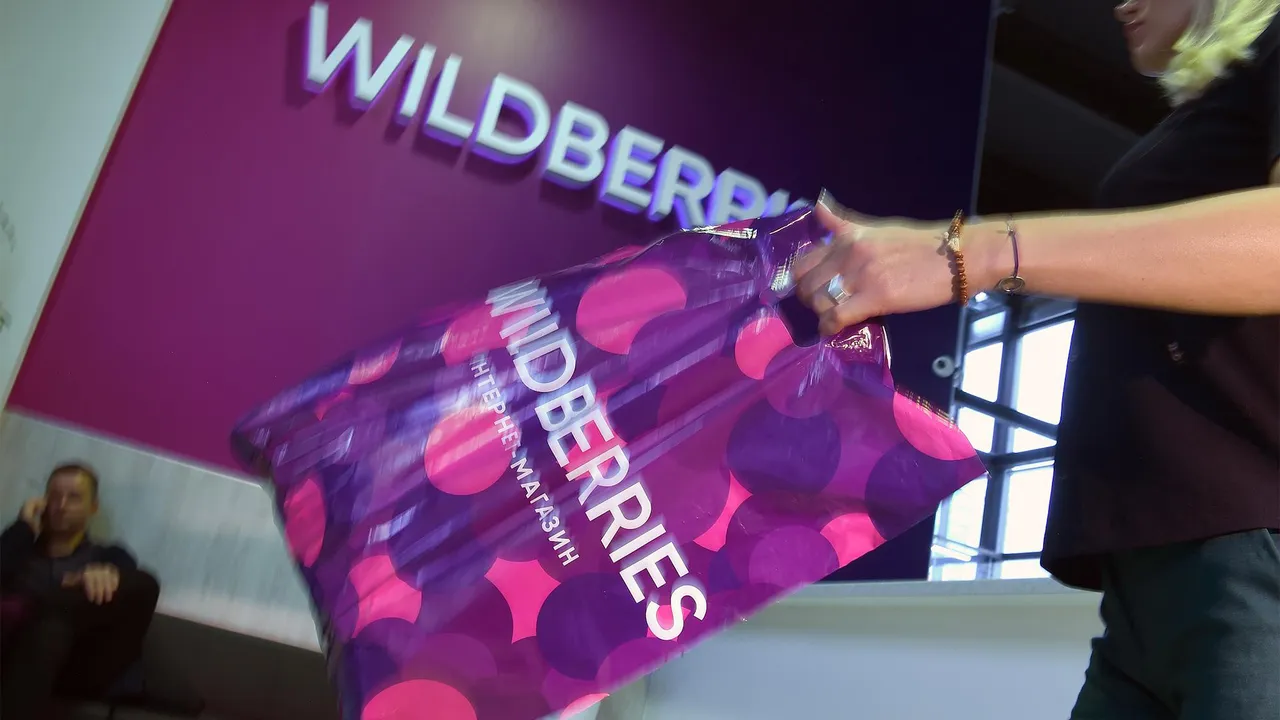 Алиса найди по фото на wildberries Wildberries раскрыл нелегальную схему продвижения селлеров