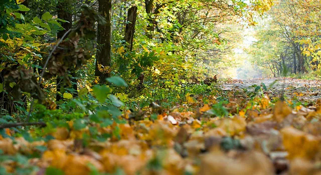 Власти не откажутся от взимания платы за посещение заповедников