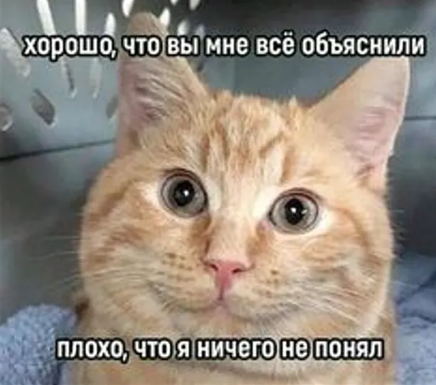 Про уведомление в РКН