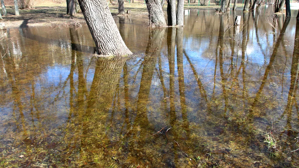 Затопленные паводком участки освободят от земельного налога