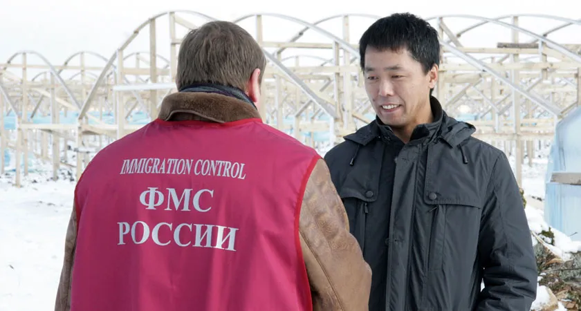 Правительство установило на 2015 год квоты на привлечение иностранных работников 