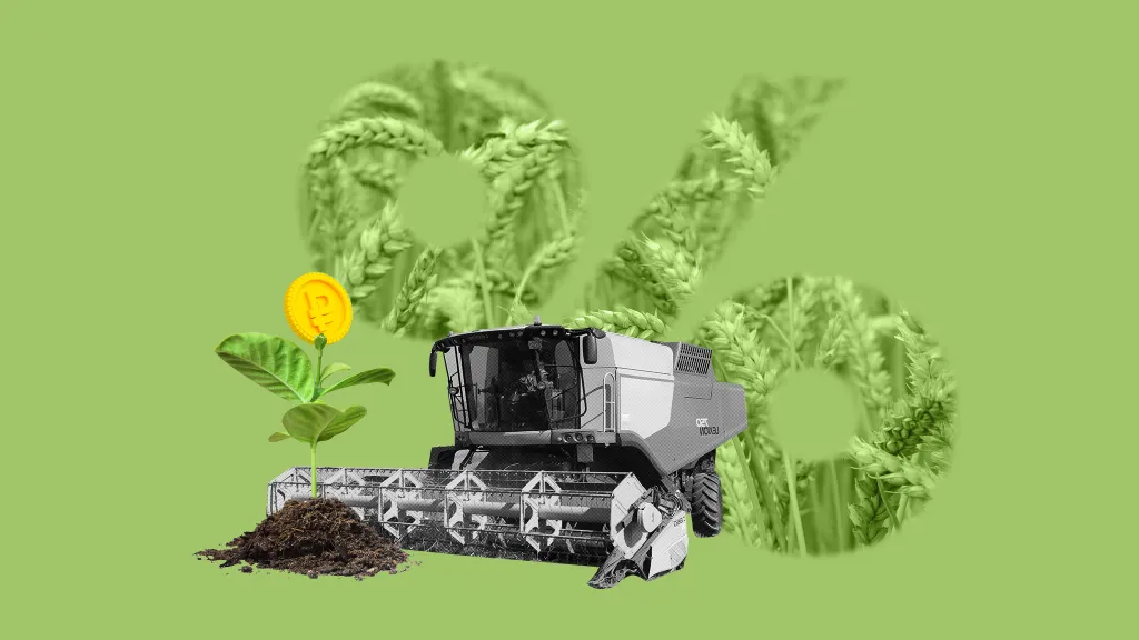 Как на ЕСХН учесть получение субсидии на развитие сельского хозяйства