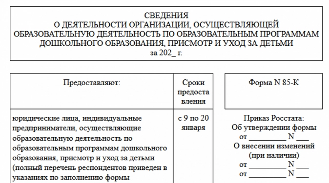 Отчет в статистику по форме 85-К