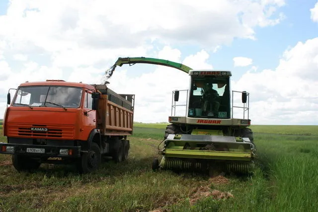 Россия снизит экспорт зерна в 3 раза