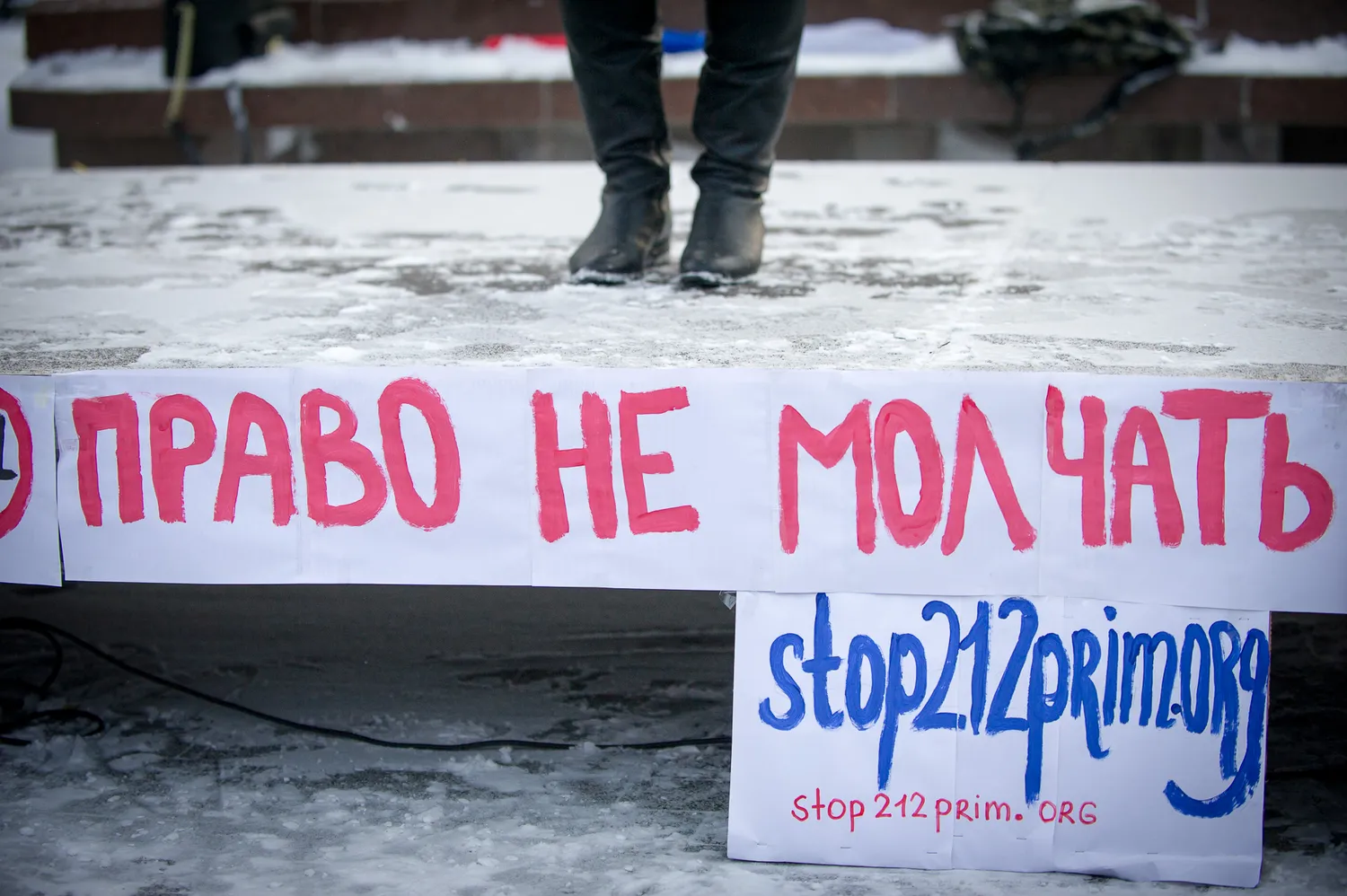 Митинг в поддержку политических заключенных  в Москве собрал около 700 человек