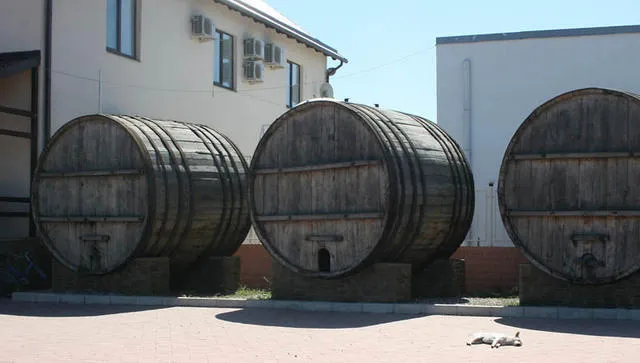 Роспотребнадзор разрешил поставки в РФ еще 31 грузинскому винзаводу