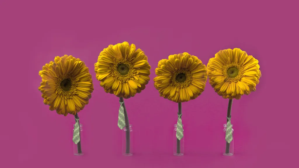 Ищут бухгалтеров на зарплату и главбухов, а взамен обещают здоровую атмосферу в коллективе. Новые вакансии на БухДжобе