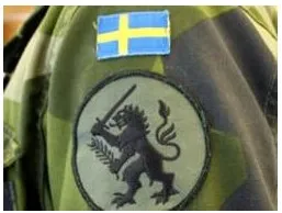 Правительство Швеции: армия - "обанкротившееся фирма"