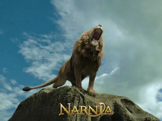Адвокаты судятся за домен Narnia, подаренный ребенку