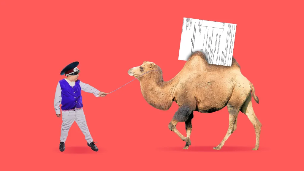 Когда налоговая может запросить КУДиР, завалить компанию на УСН требованиями и как этого избежать