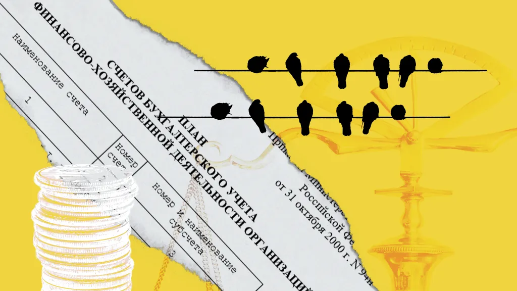 План счетов и проводки: что нужно знать новичку, который хочет стать бухгалтером