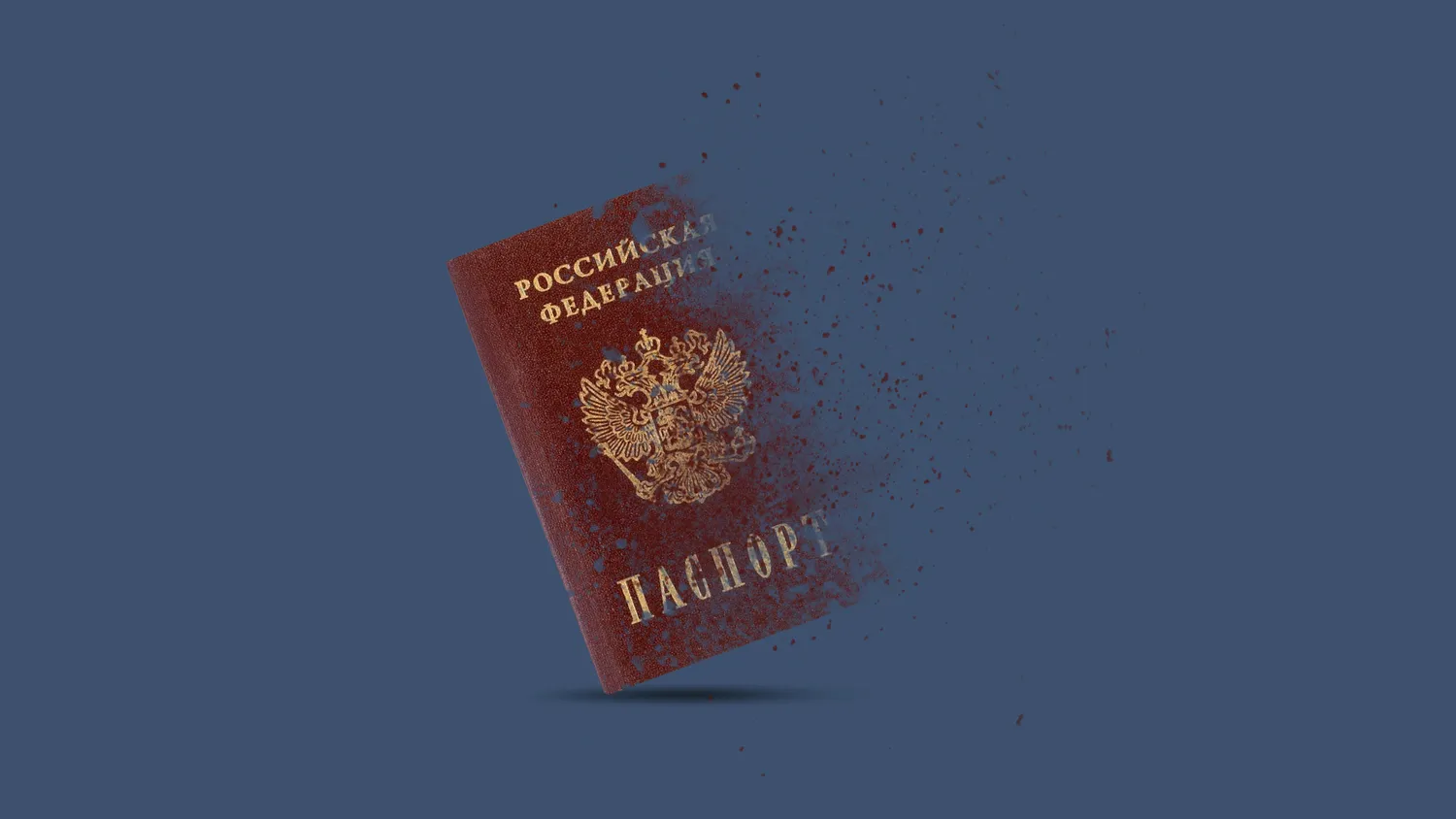 Что делать в случае утери биометрического паспорта?