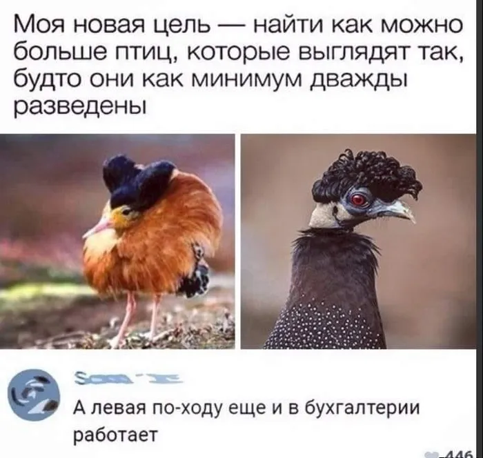 Должна выглядеть так как будто