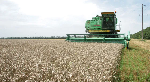 Россия не будет применять ГМО в сельском хозяйстве
