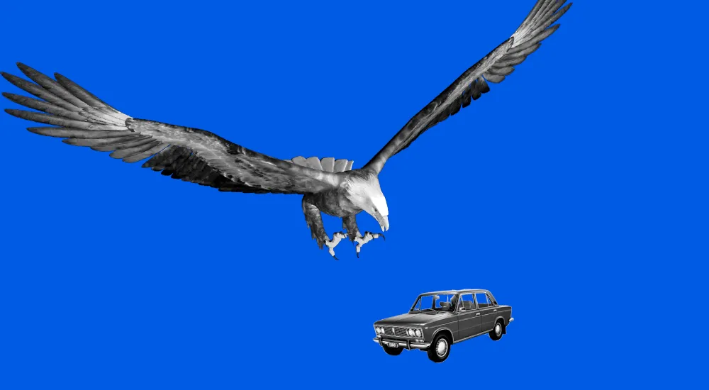 Заявление компании о льготах по транспортному и земельному налогам: форма