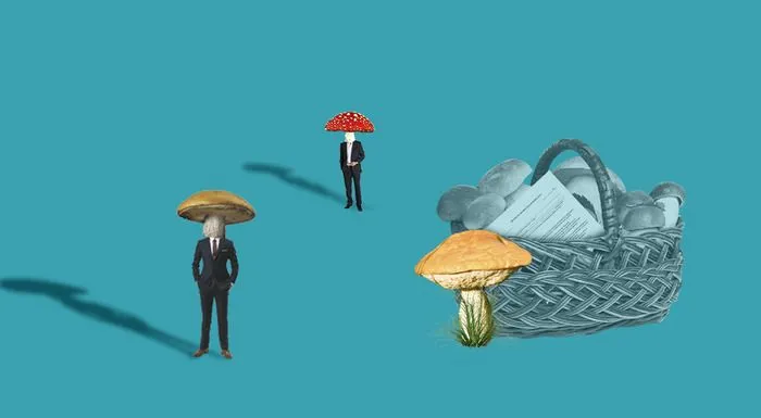 Финансисты напомнили, как можно проверить добросовестность контрагента