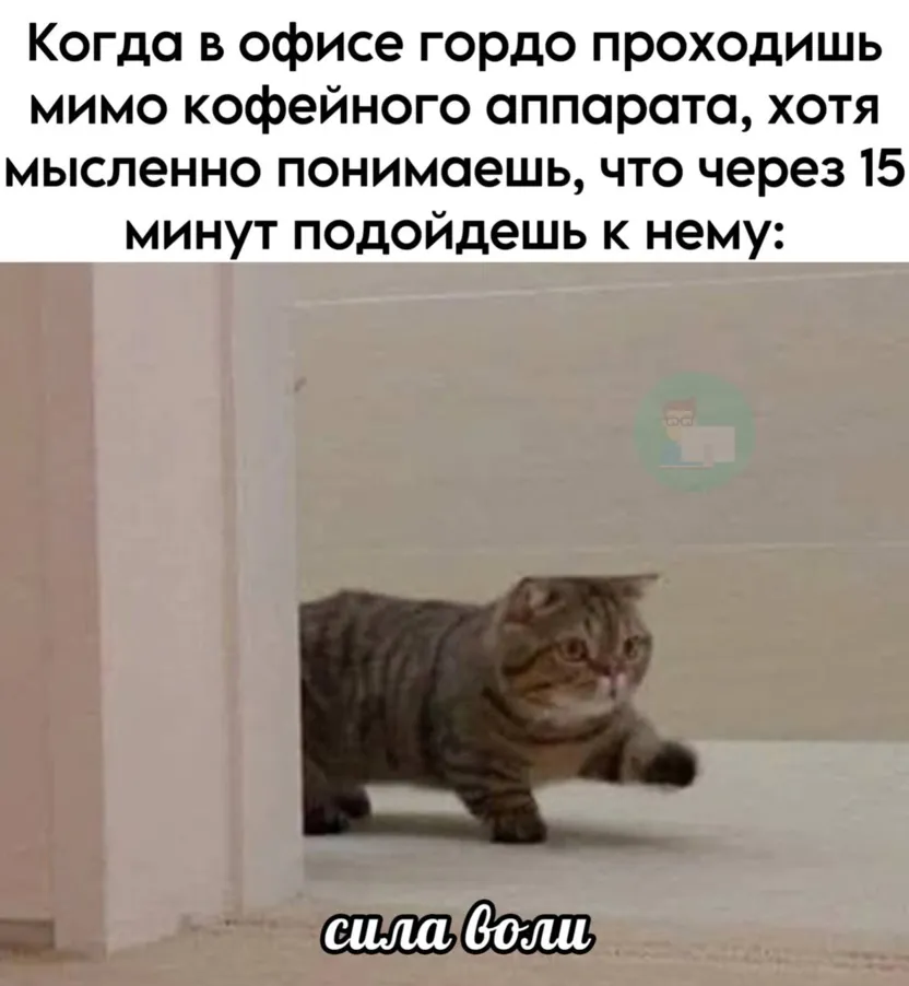 thumb_15823_articles_standart.png
