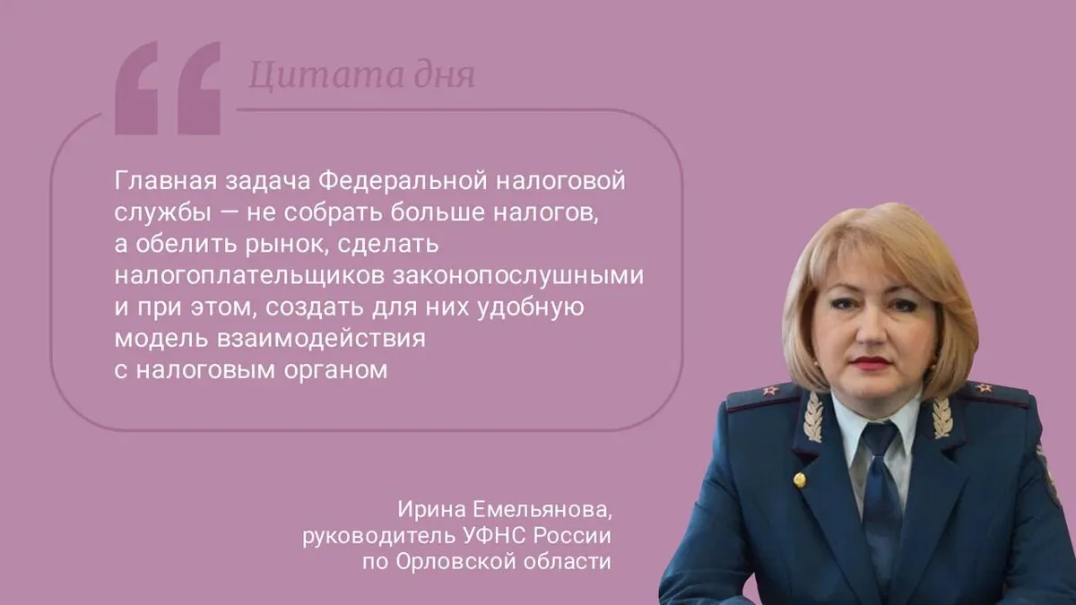 Цитата дня. Про задачи налоговиков