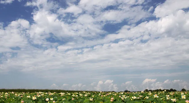 В Новгородской области прошли проверки соблюдения природоохранного законодательства