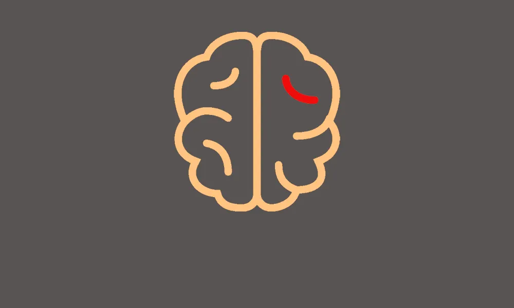 Что бухгалтеру нужно знать про взнос в чистые активы