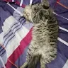 Логотип пользователя Юлианна Фадеева