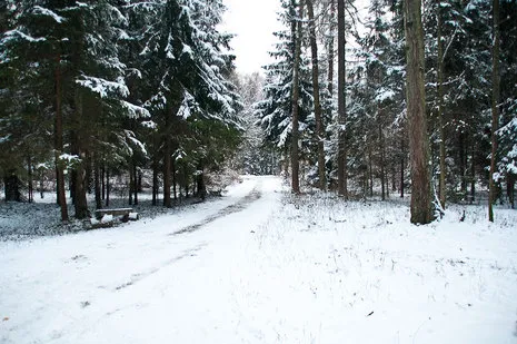 Пансионат &quot;Пушкино&quot;