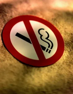 СФ одобрил присоединение к конвенции ВОЗ по борьбе с курением